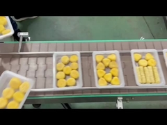 automatyczna maszyna do uszczelniania tac 4R z podciśnieniem gazowym