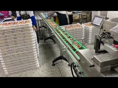 Stal nierdzewna Automatyczne wypełnianie talerza z jedzeniem Maszyna uszczelniająca dla tacy z folii aluminiowej do szybkiego jedzenia